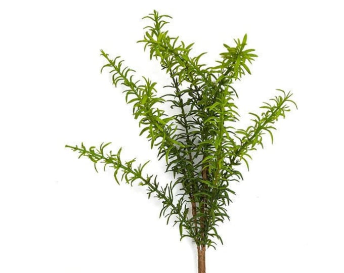13.5" Artificial Rosemary Spray, Real Touch Faux Kitchen Herbs, Kitchen Greenery, Floral Supply