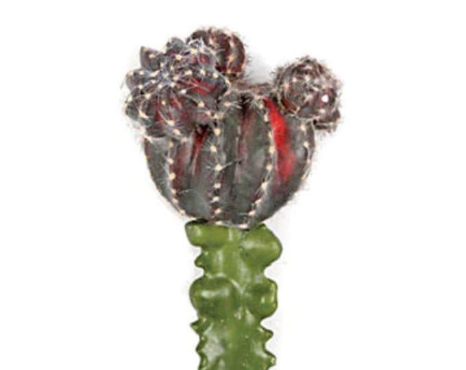 Faux Cactus Plant Stem Burgundy