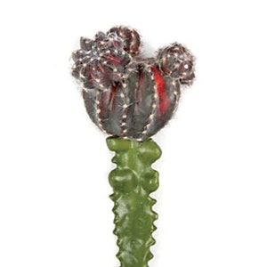 Faux Cactus Plant Stem Burgundy