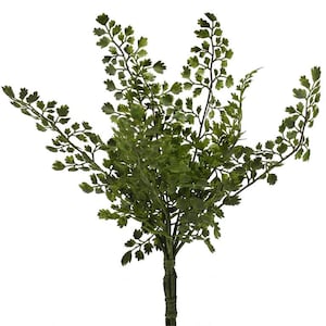 14" Maiden Hair Fern Bush-Verde artificial-Relleno de vegetación-Verde todos los días-Jarrón y relleno de ramo-Faux/Follaje artificial-Suministro floral