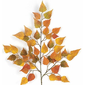 May include: A branch of autumn leaves in shades of yellow, orange, and green. The leaves are arranged in a symmetrical pattern, creating a visually appealing display.