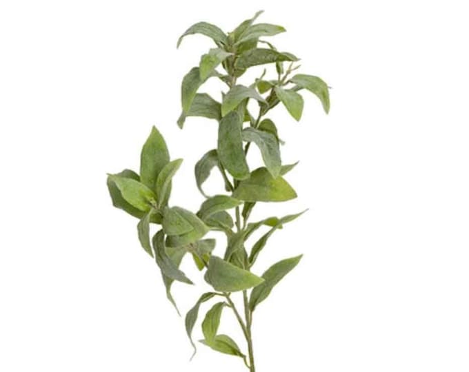 24" Faux Sage, Artificial Sage, Artificial Herbs, Herb Plants, Kitchen Herbs, Kitchen Greenery, Floral Supply