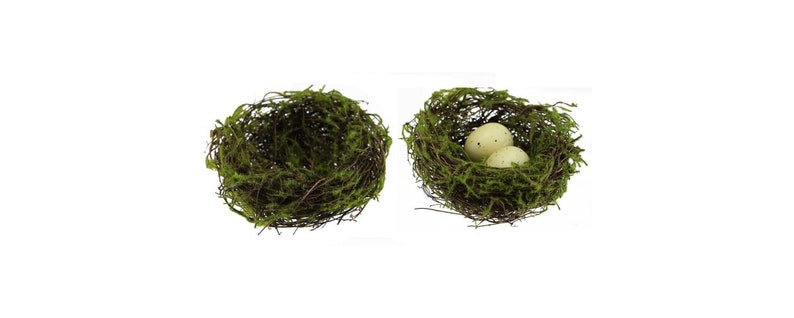 May include: Two small, white bird nests with green moss lining. One nest is empty, and the other contains two white speckled eggs.