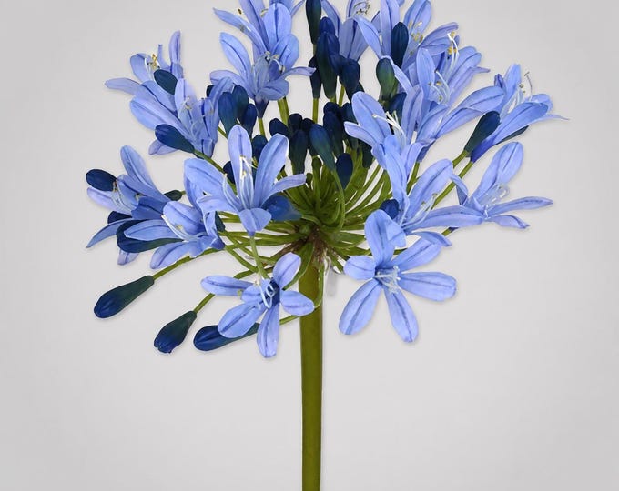 27" Blue Agapanthus Stems, Lily of the Nile Artificial Flowers