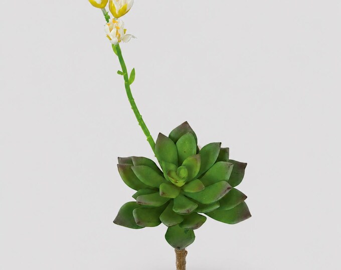 Faux Echeveria Succulent Stem with Flower Bloom