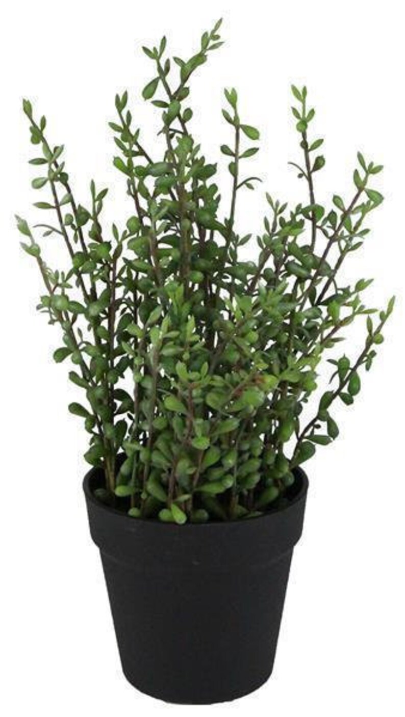 17H Artificial Potted Jade PlantArtificial Succulent in Etsy