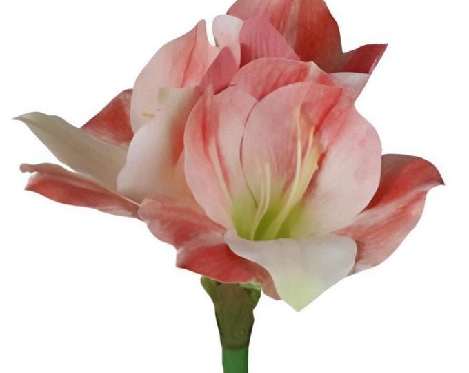 Faux Amaryllis Flower on Stem - Pink/Cream - 23"