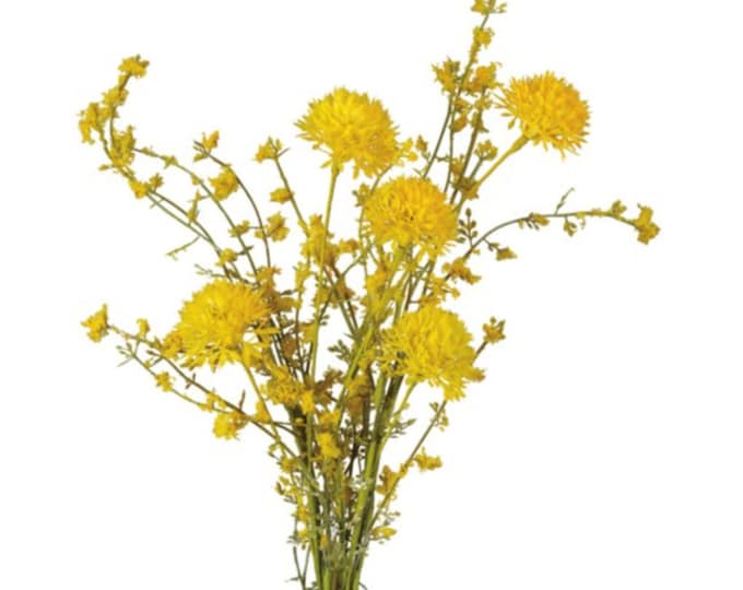 Yellow Thistle Floral Spray on Stem