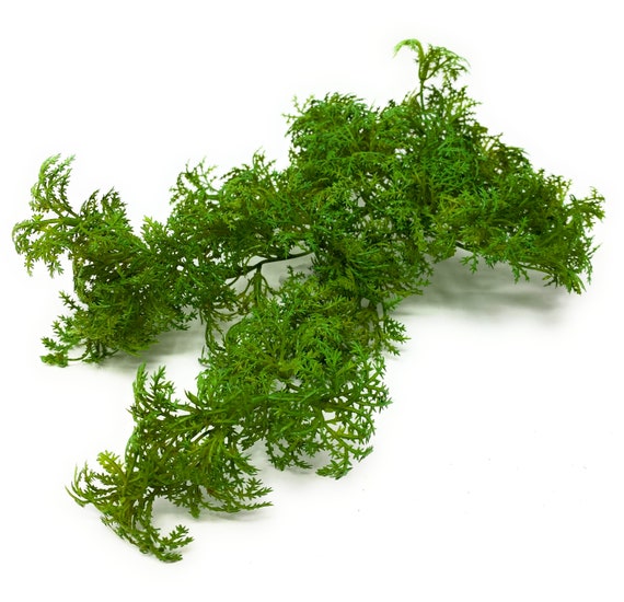 11 Artificial Lichen Moss/faux Moss/fake Moss Pick in Light Green