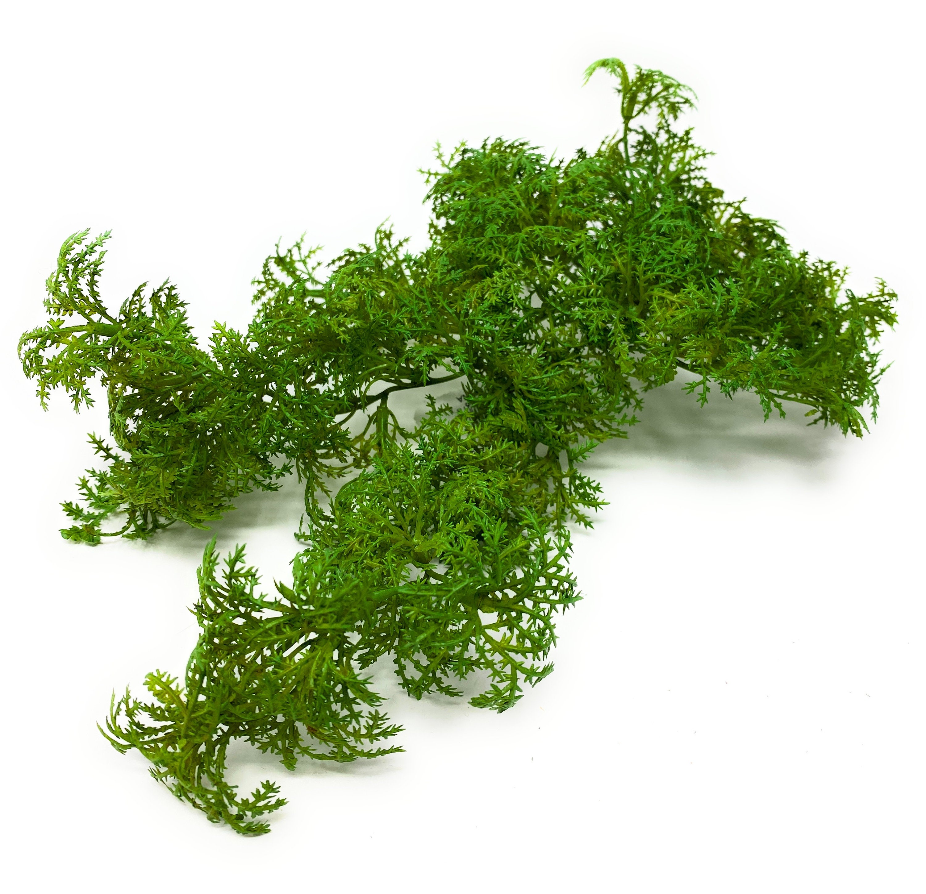 1 pack green moss for planters artificial moss lichen forest moss lichen  lifelike simulatioan lichen craft moss artificial
