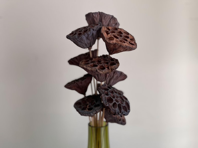 May include: A bouquet of dried lotus pods in shades of brown and purple, arranged in a vase.