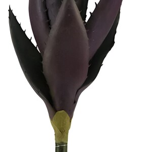 K&ouml;nnte beinhalten: Eine k&uuml;nstliche Sukkulente in dunkelvioletter Farbe mit einem gr&uuml;nen Stiel. Die Pflanze hat ein stacheliges, spitzes Blattdesign.