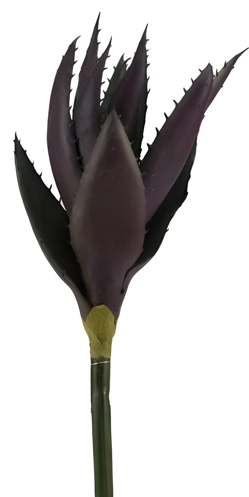 K&ouml;nnte beinhalten: Eine k&uuml;nstliche Sukkulente in dunkelvioletter Farbe mit einem gr&uuml;nen Stiel. Die Pflanze hat ein stacheliges, spitzes Blattdesign.