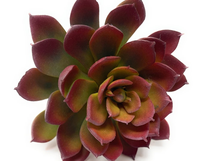 7" Faux Echeveria Succulent on Stem, Artificial Succulent