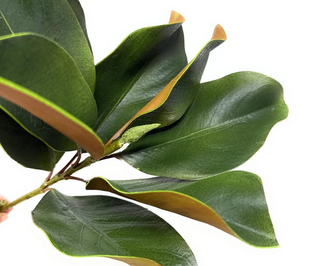 27" Magnolia Leaf Stem, Magnolia Leaf Spray, Vase Filler, Floral Supply