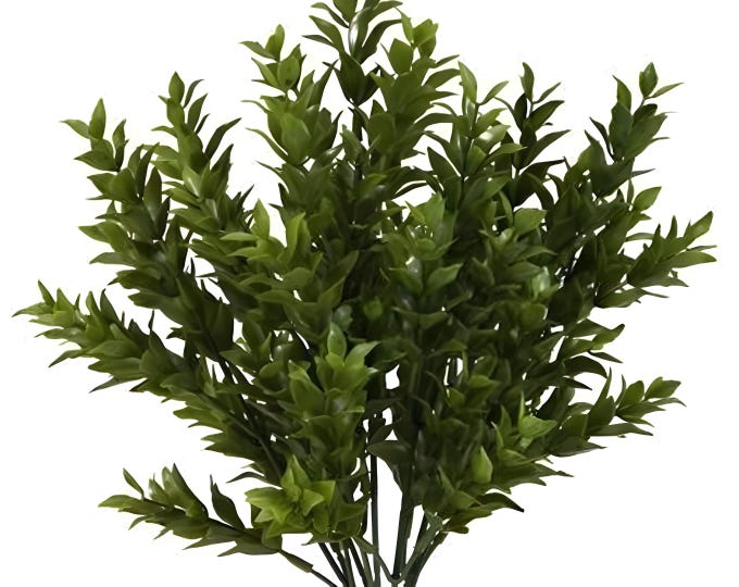 14" Artificial Greenery Bush/Plant/Spray/Stem-Ruscus Bush-Everyday Greenery-Vase & Bouquet Filler-Faux/Artificial Foliage-Floral Supply