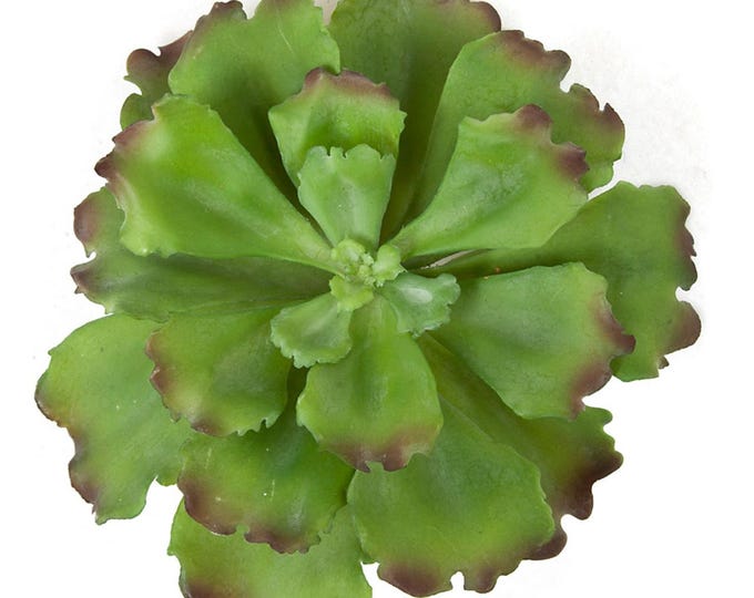 8.5" Faux Echeveria Succulent, Echeveria Succulent with Ruffled Edes, Artificial Succulent