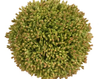 Faux Greenery Ball, Decorative Orb, Bowl Filler, Vase Filler, Topiary Ball, Table Decor