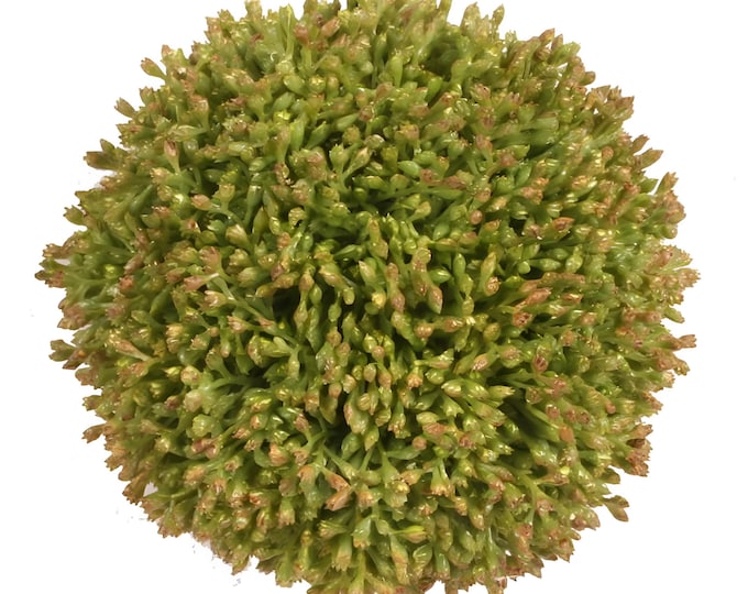 Faux Greenery Ball, Decorative Orb, Bowl Filler, Vase Filler, Topiary Ball, Table Decor
