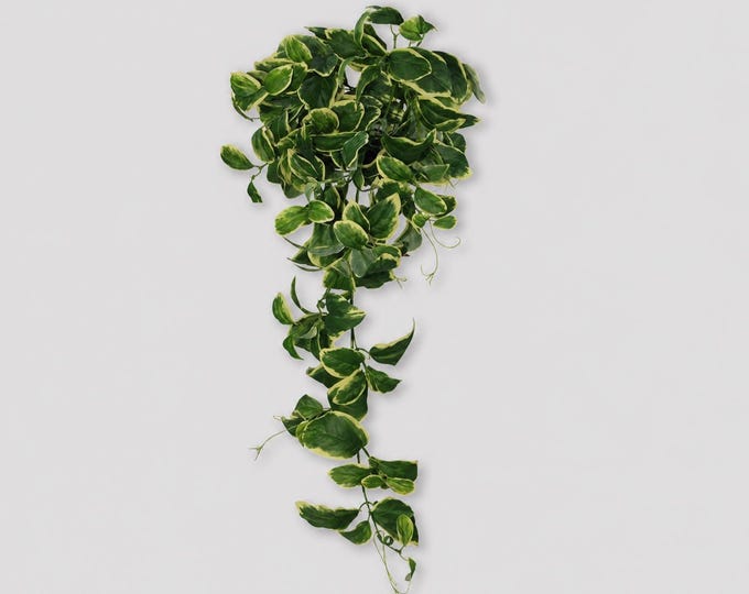 35" Faux Variegated Boxwood Vines Hanging Greenery, Artificial Cascading Draping Stem