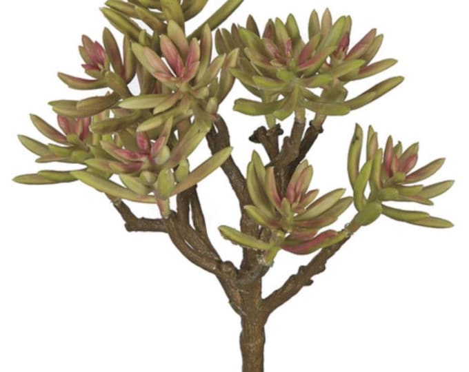 Faux Fan Aloe Succulent - Natural Touch, Artificial Aloe Plant, Realistic Succulent Decor, Modern Faux Plant  10"