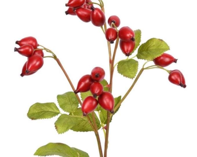 Artificial Rose Hip Floral Spray, Realistic Stems for Fall Arrangements, Wreaths & Seasonal Home Decor