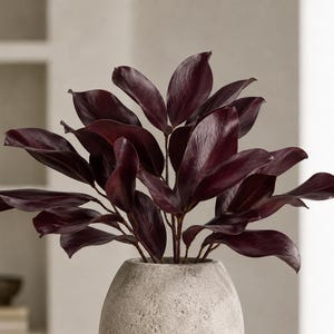 May include: A decorative plant with deep burgundy, glossy leaves arranged on multiple stems, housed in a textured, light gray, rounded stone-like vase. The foliage features prominent veins and a smooth, reflective surface texture throughout.
