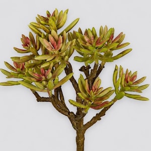 May include: An artificial succulent plant featuring multiple stems with thick, pointed leaves in shades of olive green and reddish-pink. The plant has a central brown woody stalk that branches out into several clusters of fleshy, pointed foliage.