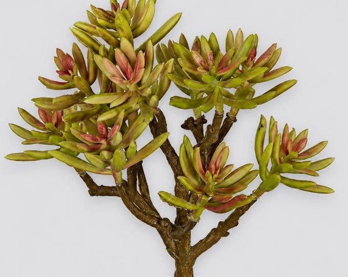 Fan Aloe Succulent - Realistic Natural Touch Artificial Plant, Modern Decor - 10"