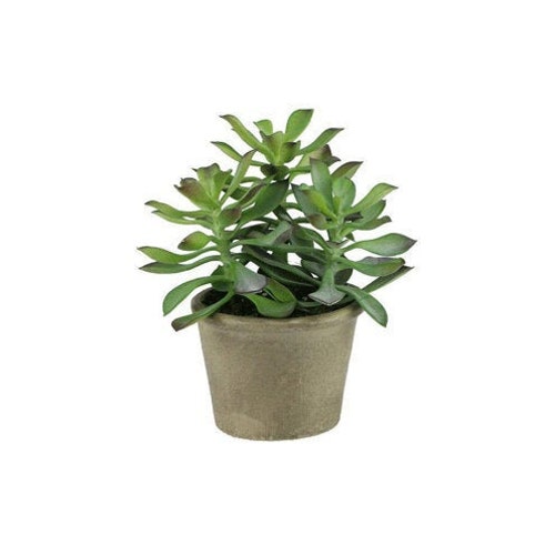 7 X 6 Artificial Potted Jade Succulent Plant in Etsy