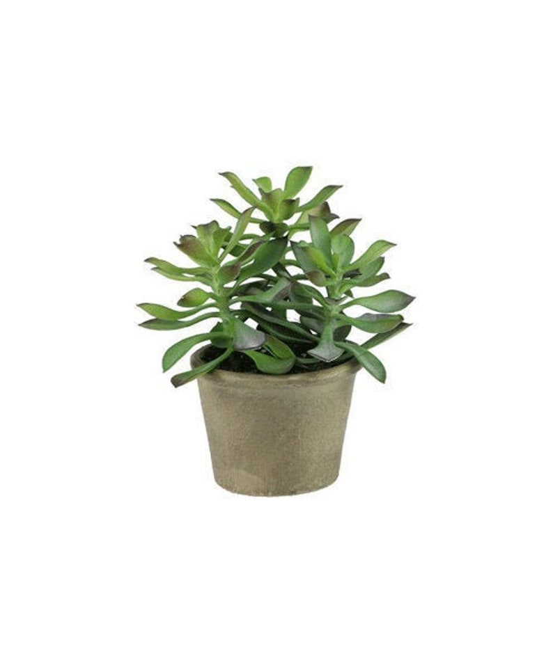 7 X 6 Artificial Potted Jade Succulent Plant in Etsy Sweden