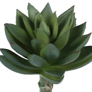 7&quot; Faux Sedum Succulent Plant on Stem