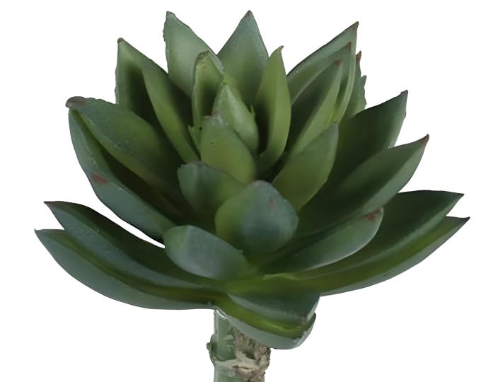 7" Faux Sedum Succulent Plant on Stem