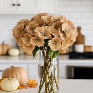 May include: A clear glass vase displays a bouquet of tan hydrangeas with green centres and stems. Two pumpkins and autumn leaves are on the white countertop. The background shows a white kitchen.