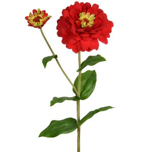 May include: A single red zinnia flower with a yellow center and green leaves. The flower is in bloom and has a delicate, ruffled appearance.