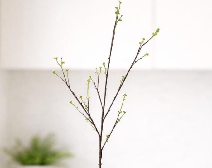 Budding Leaf Branch Stem - Tall Vase Filler - 48"
