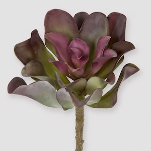 May include: An artificial succulent plant featuring thick, fleshy leaves in a gradient of deep purple and muted olive green. The plant has a central rosette formation with layered petals and is attached to a textured, light brown stem.