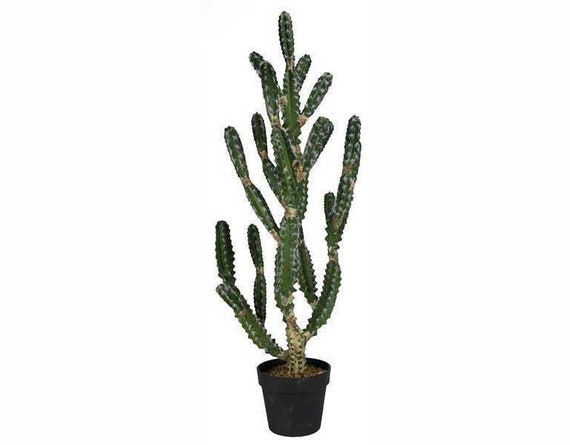 42 H Large Artificial Potted Cactus Succulent - Etsy UK