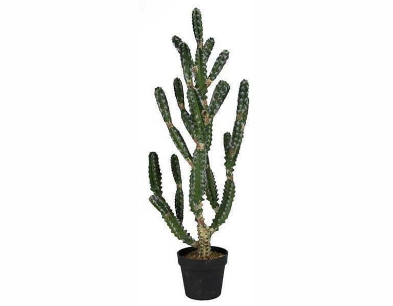 42 H Large Artificial Potted Cactus Succulent Plant-Cactus in Pot w/Thorns-Faux Potted Plant-Potted Greenery-Artificial Plant-Floral Supply image 1