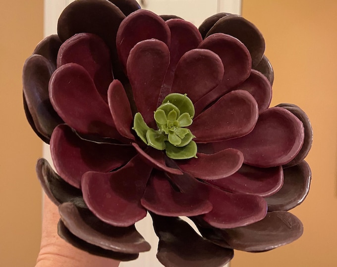 8" Outdoor UV Resistant Aeonium Succulent Flower - Burgundy & Green - VERY LARGE