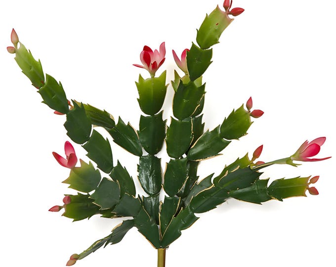 12" Faux Christmas Cactus, Christmas Stems, Christmas Planter Filler
