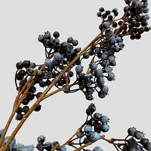 36&quot; Blueberry Berry Branch Stems, Vase Filler