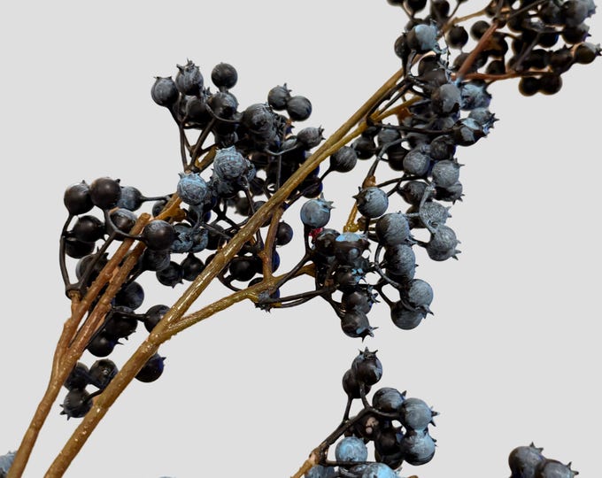 36" Blueberry Berry Branch Stems, Vase Filler