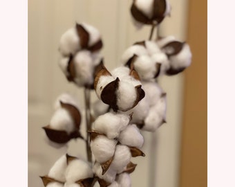 Cotton Stem Spray Branch on Stem, Natural Cotton Decor, Rustic Decor, Farmhouse Decor, Vase FillerWreath Supply, Floral Supply - Choose Size