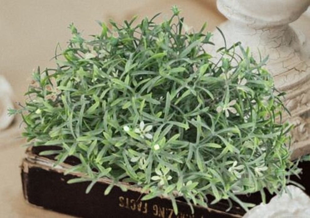 10 Wildflower Floral Half Sphere Greenery Half Sphere Etsy