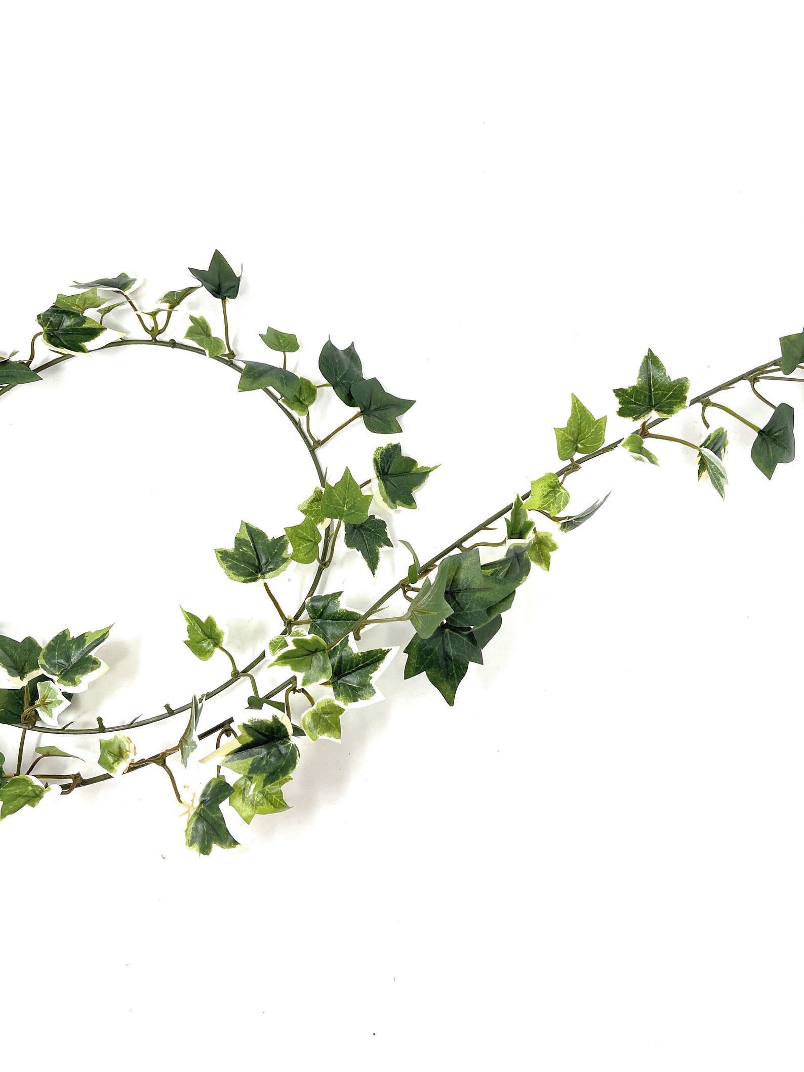 6 FT Artificial Greenery Garlandneedlepoint Mini Ivyyear Etsy