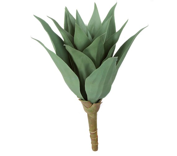 15" Artificial Outdoor UV Resistant Desert Agave Cactus Plant - Etsy Schweiz