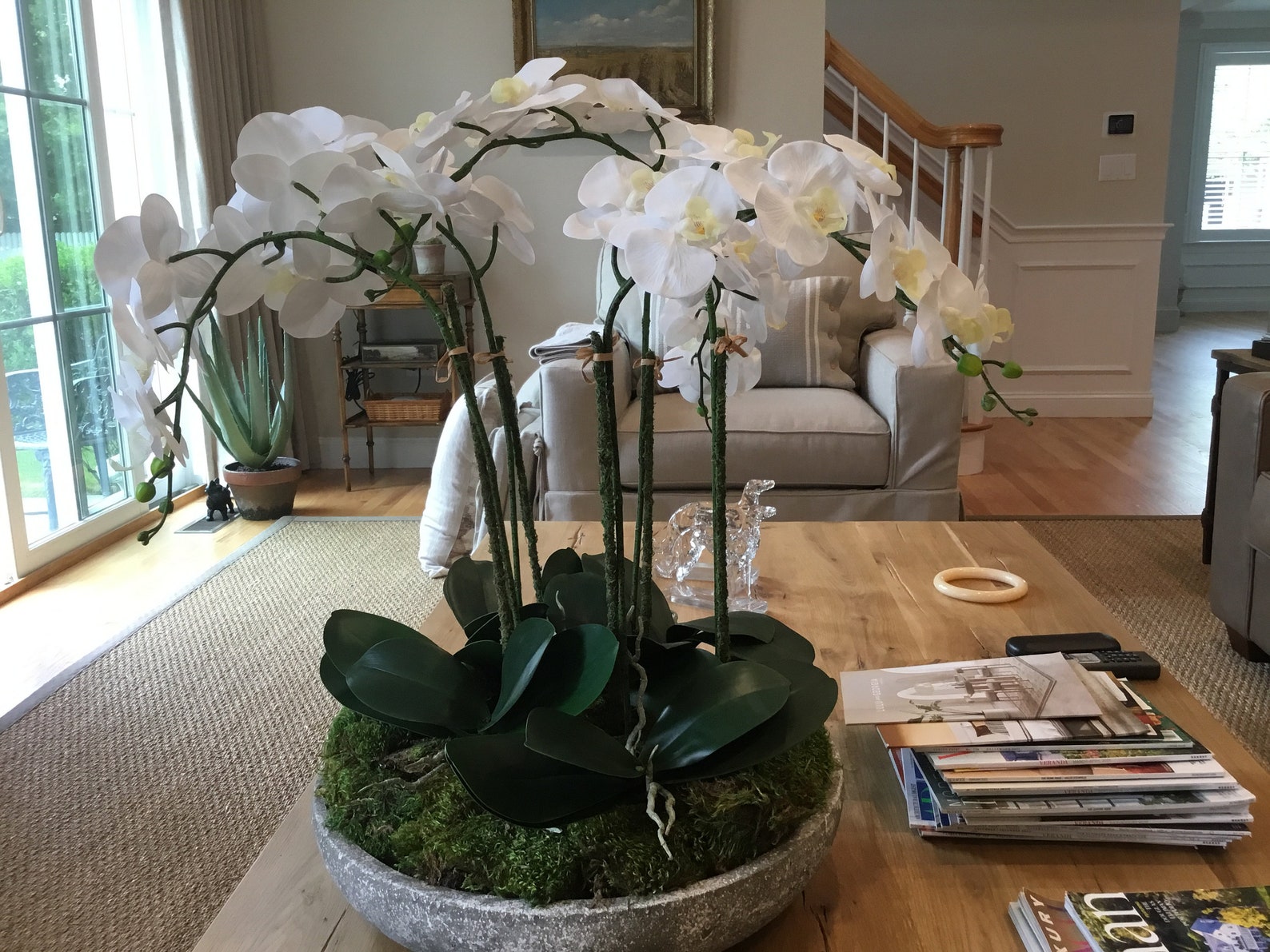 Artificial Orchid Leaves/Stem with Realistic Bare RootsFaux Etsy