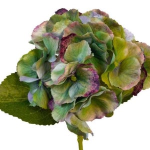 14&quot; Antique Green Hydrangea Flower on Stem, Real Touch Flowers, Artificial Flower, Vase Filler, Floral Supply