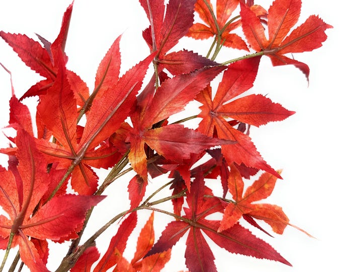 Orange Japanese Maple Leaf Stems - Autumn Branches - 28"